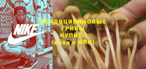 гашик Абаза