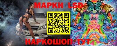 СК Камышлов