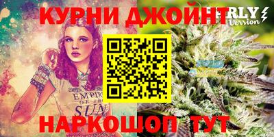 СК Камышлов
