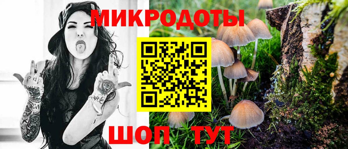 где можно купить наркотик  Галлюциногенные грибы Cubensis  Вход с VPN  Рославль 