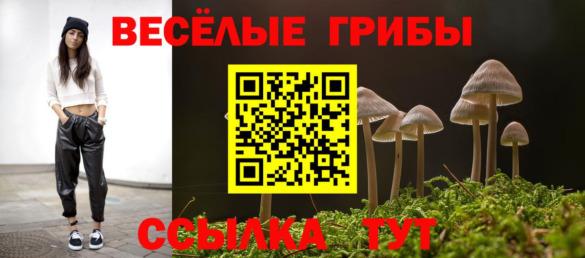 Галлюциногенные грибы Magic Shrooms Рославль